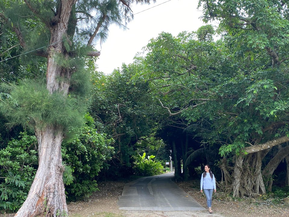 地域の中でキャリアの次の一歩を考える道